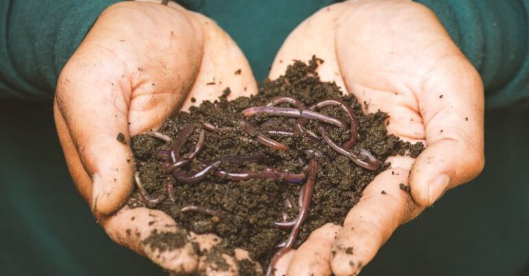 Can You Use Composting Techniques in Container Gardening?