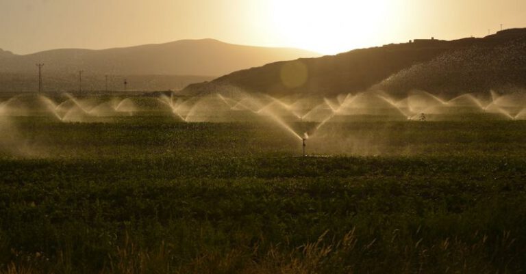 What Are Effective Irrigation Methods for Saving Water?