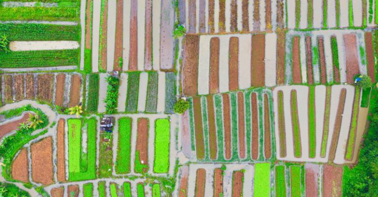 Urban Farm - Aerial Photography of Field
